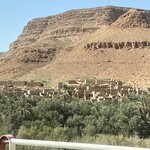 Photo taken by Della O