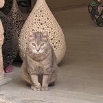 Photo taken by Lana P