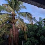 Photo taken by mimi s