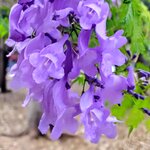 Photo taken by Brett F