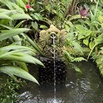 Photo taken by Mary K