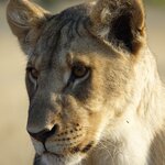 Photo taken by Sandro P