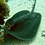 Photo taken by christopher p