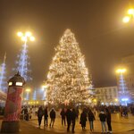 Photo taken by Jocelyn C