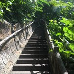 Photo taken by Angela B