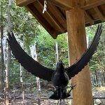 Photo taken by Derek A