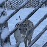 Photo taken by Ellyn V