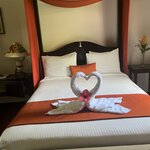 Photo taken by Cassio S