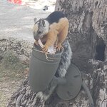 Photo taken by Tracye P