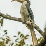 Photo taken by Graham D