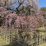 Photo taken by Arlan W