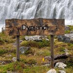 Photo taken by Eliza M