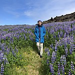 Susan - Lupine fields | Photo taken by Elizabeth R