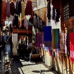 Photo taken by Bianca C