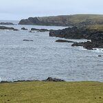 Photo taken by Danielle P