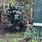 Photo taken by Joyce C