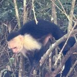 Photo taken by Harshida P