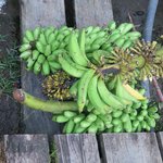 Plenty! | Photo taken by Wendy D