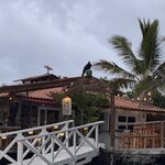 Photo taken by Ben S