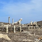 Photo taken by Amanda F