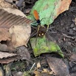 Photo taken by Darcy M