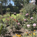 Photo taken by Shanthi V