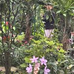 Photo taken by James B