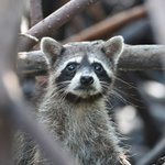 Photo taken by Graeme W