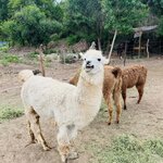 Photo taken by Manon G