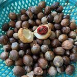 Photo taken by Janelle D