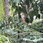 Photo taken by Julie G