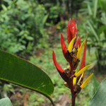 San Agustin | Photo taken by Peter G