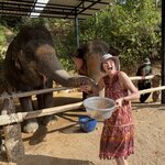 Photo taken by Nicole T