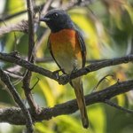 Photo taken by Graham D