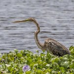 Photo taken by Graham D