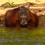 Photo taken by Dennis H