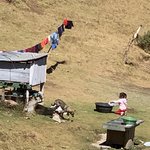 Photo taken by Cindy R