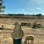 Photo taken by Raelene S