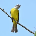 Photo taken by Graeme W