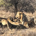 Photo taken by Janie W