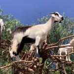 Photo taken by Cynthia F