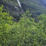 Photo taken by Tamara N