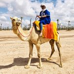 Riding the camel at Palmeraie  | Photo taken by Filipinas C