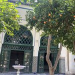 Photo taken by Kristy T