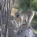 Photo taken by John B