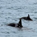 Photo taken by Lynn H