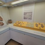 Photo taken by Jason S