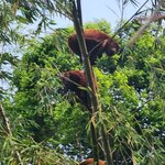 Photo taken by Lee B