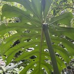 Photo taken by Blair H