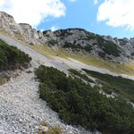 Photo taken by Chris M